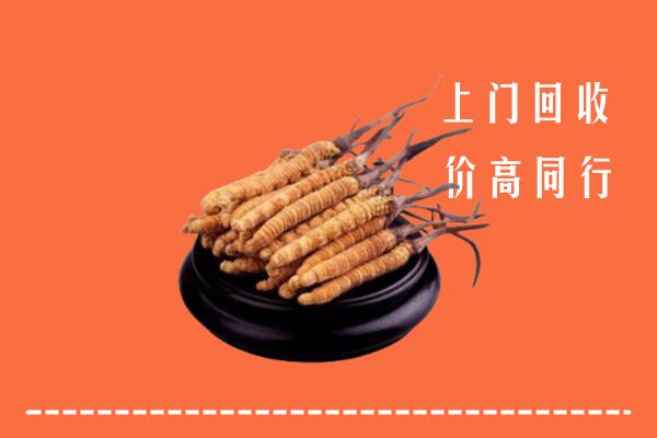 高价求购：蚌埠市淮上回收散虫草