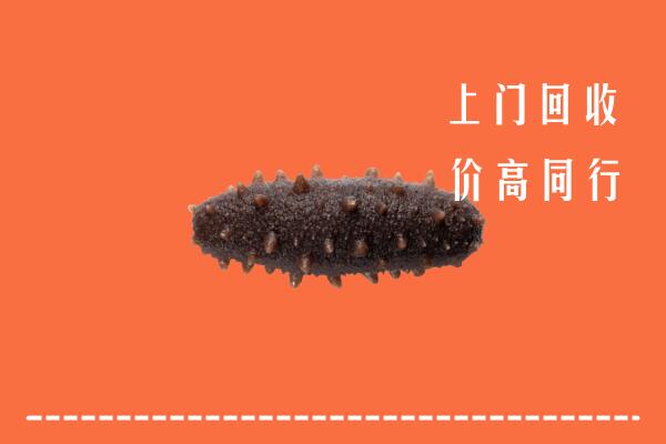 高价求购：蚌埠市淮上回收海参